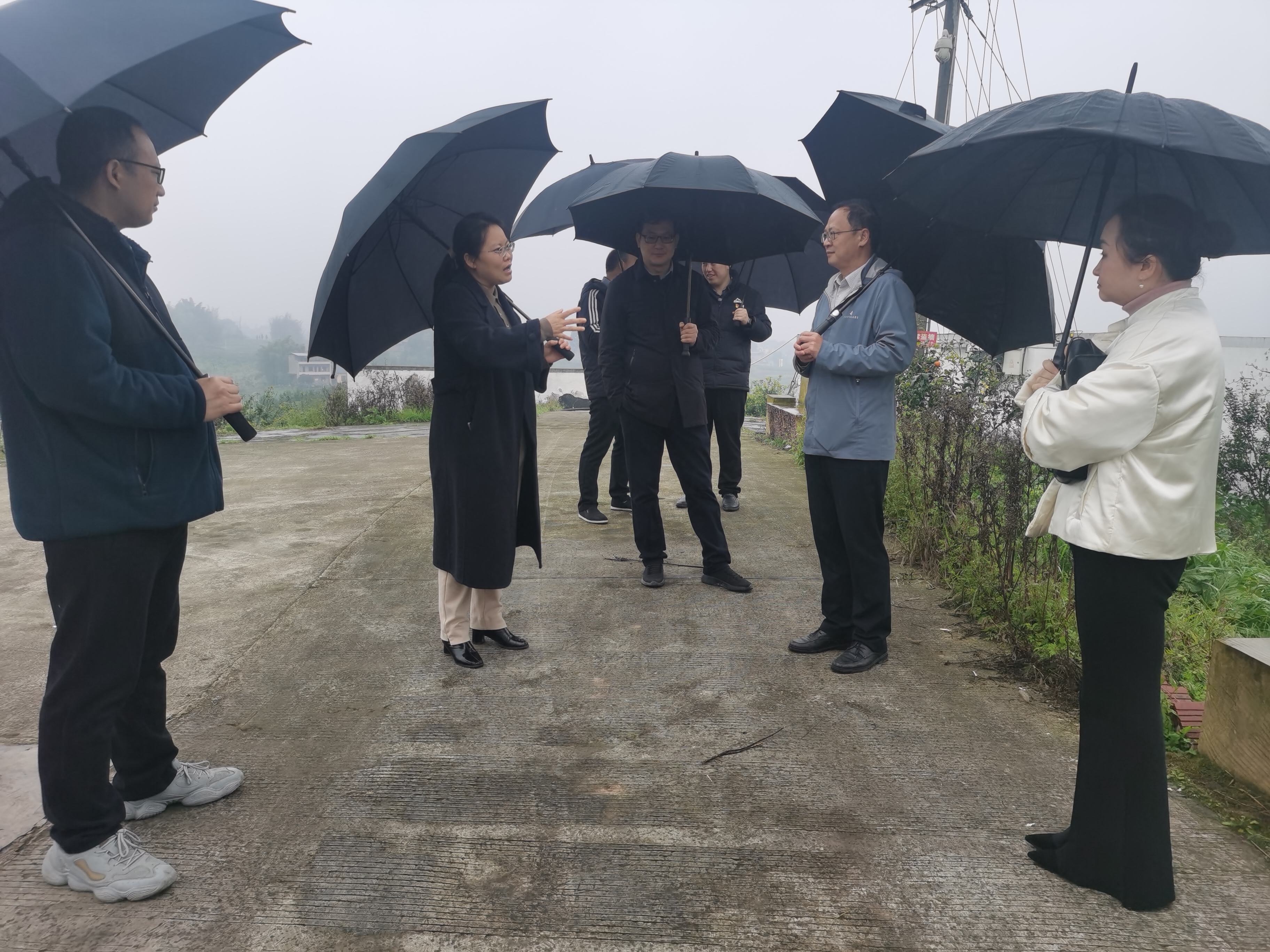 rbSG_1740965083811030365.jpg rbSG_1740965083811030365.jpg